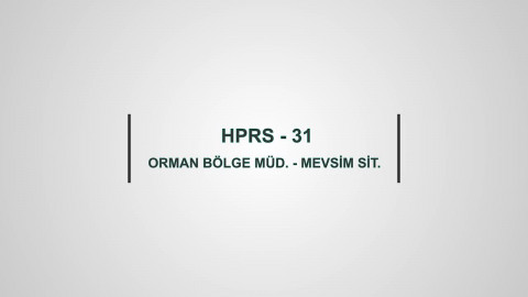 HPRS 31