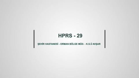 HPRS 29